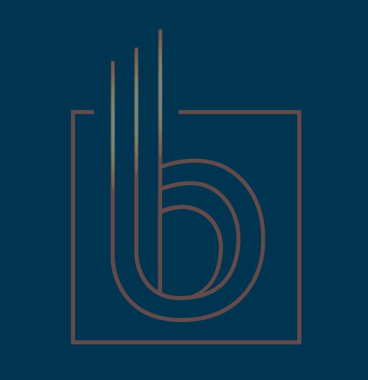 BBS IT Consulting managed help desk specialist holding laptop